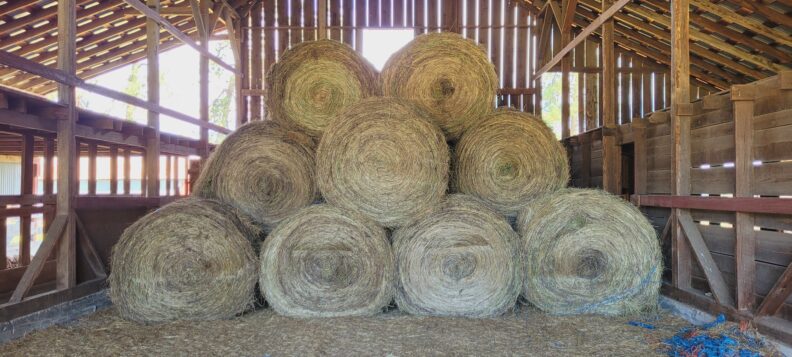 round hay bales stacked in barn