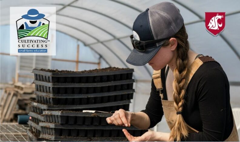Farm worker planting plug trays inside a greenhouse. Cultivating Success - Small Farms Education logo and Washington State University logo
