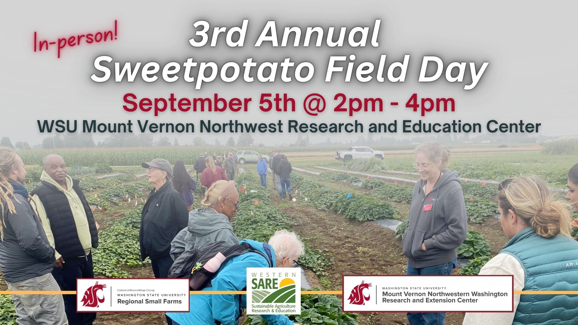 Students and farmers in sweetpotato field