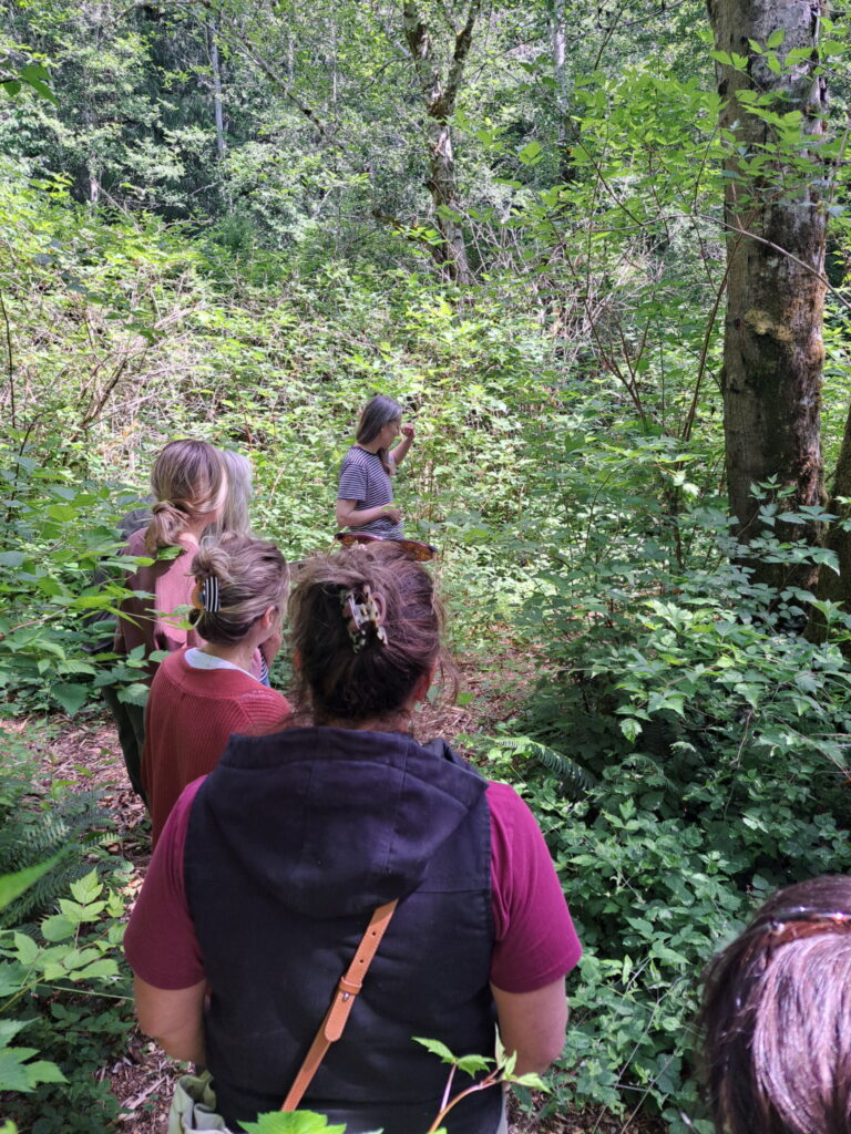 Class participants stand on a pathway in a forest of trees and native plants like salmonberry
