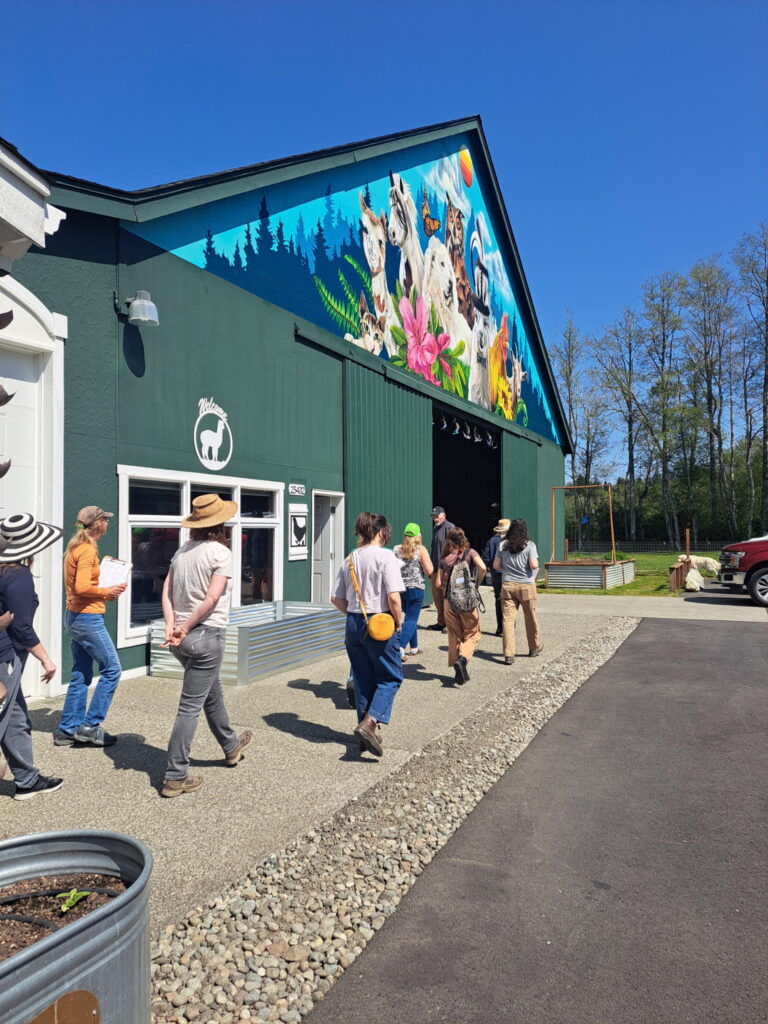 Class participants walk in front of a barn with a bright mural of alpacas and guard dogs