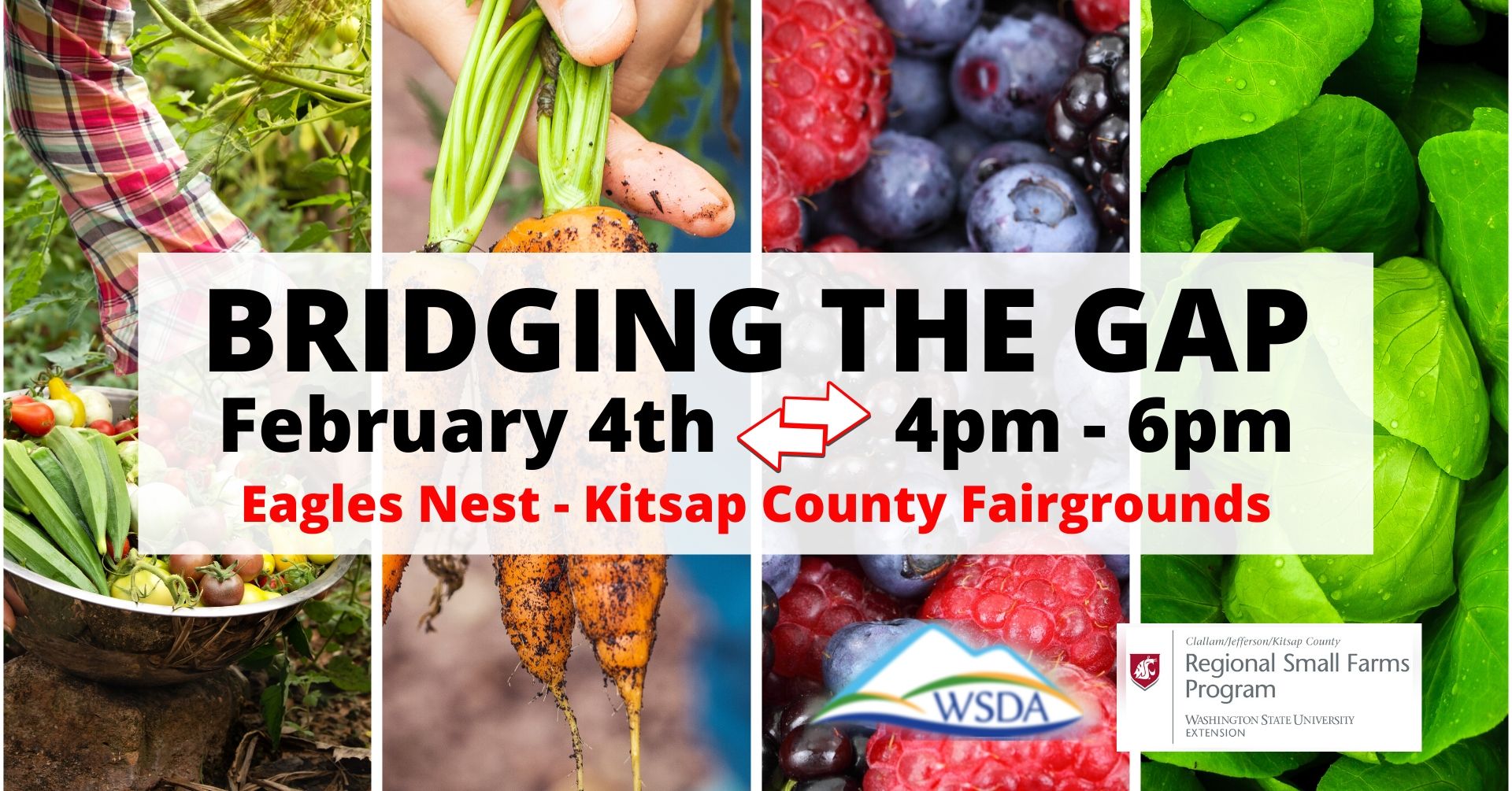 farming, carrots, berries, spinach