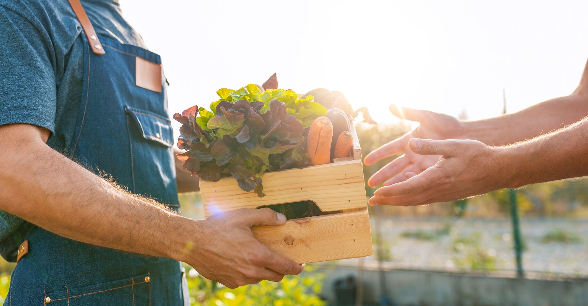 Farmer with box of produce