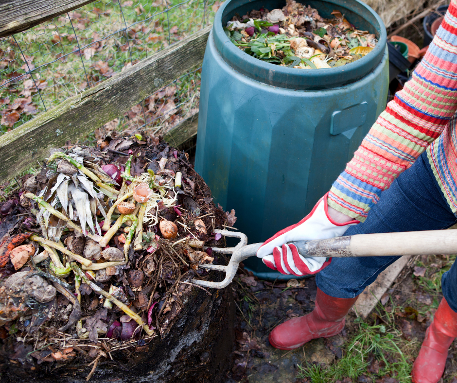 A person wearing a colorful sweater and holding a pitchfork, scoops food waste into a compost bin