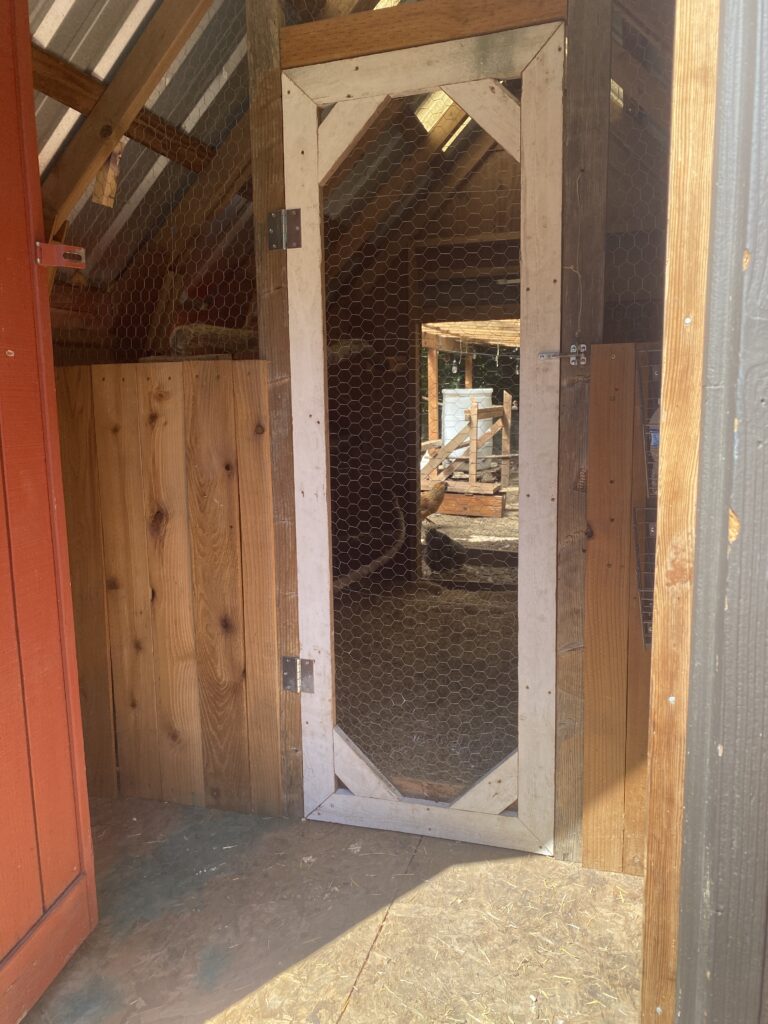 An a-frame chicken coop, tall enough to walk into, with bedding on the floor and roost bars and nesting boxes 