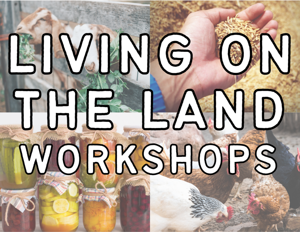 4 photos in background with goats, a hand holding wheat, a stack of jars of preserved food, and pecking chickens- with the words Living on the Land Workshops superimposed. 
