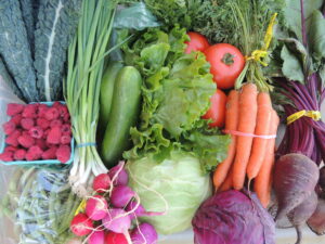 A colorful display of organic vegetables.