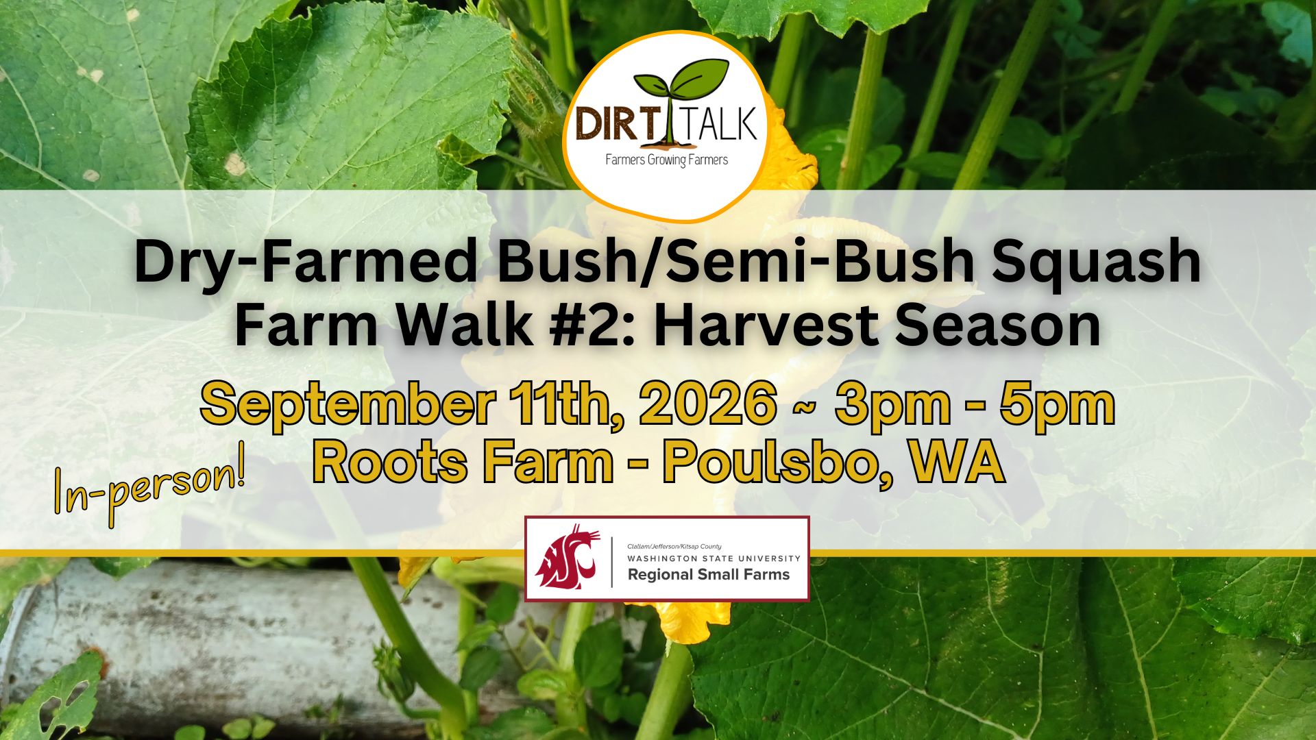 Bush squash with flower