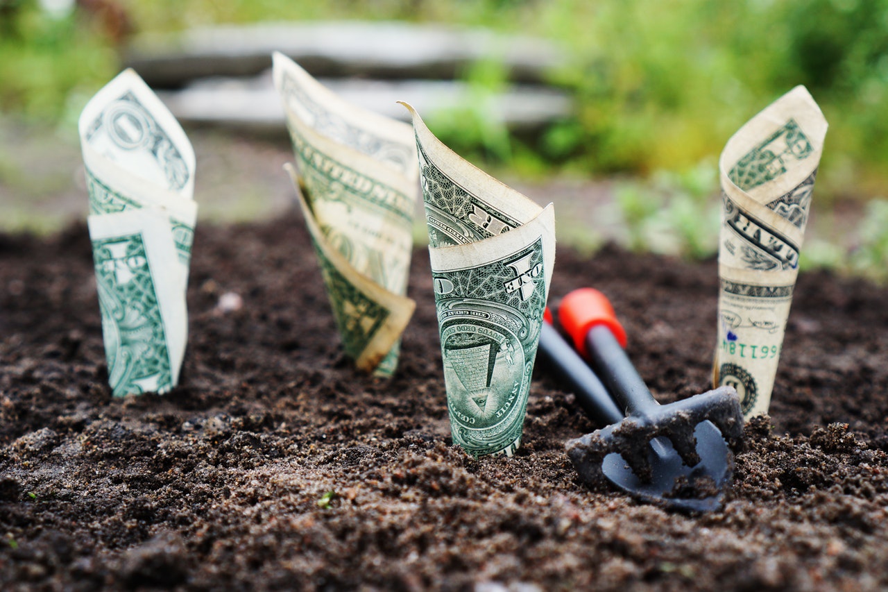 dollar bills growing in dirt with shovel