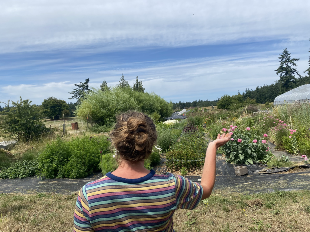 Farmer Elyse stands in front of rows of cut flower crops