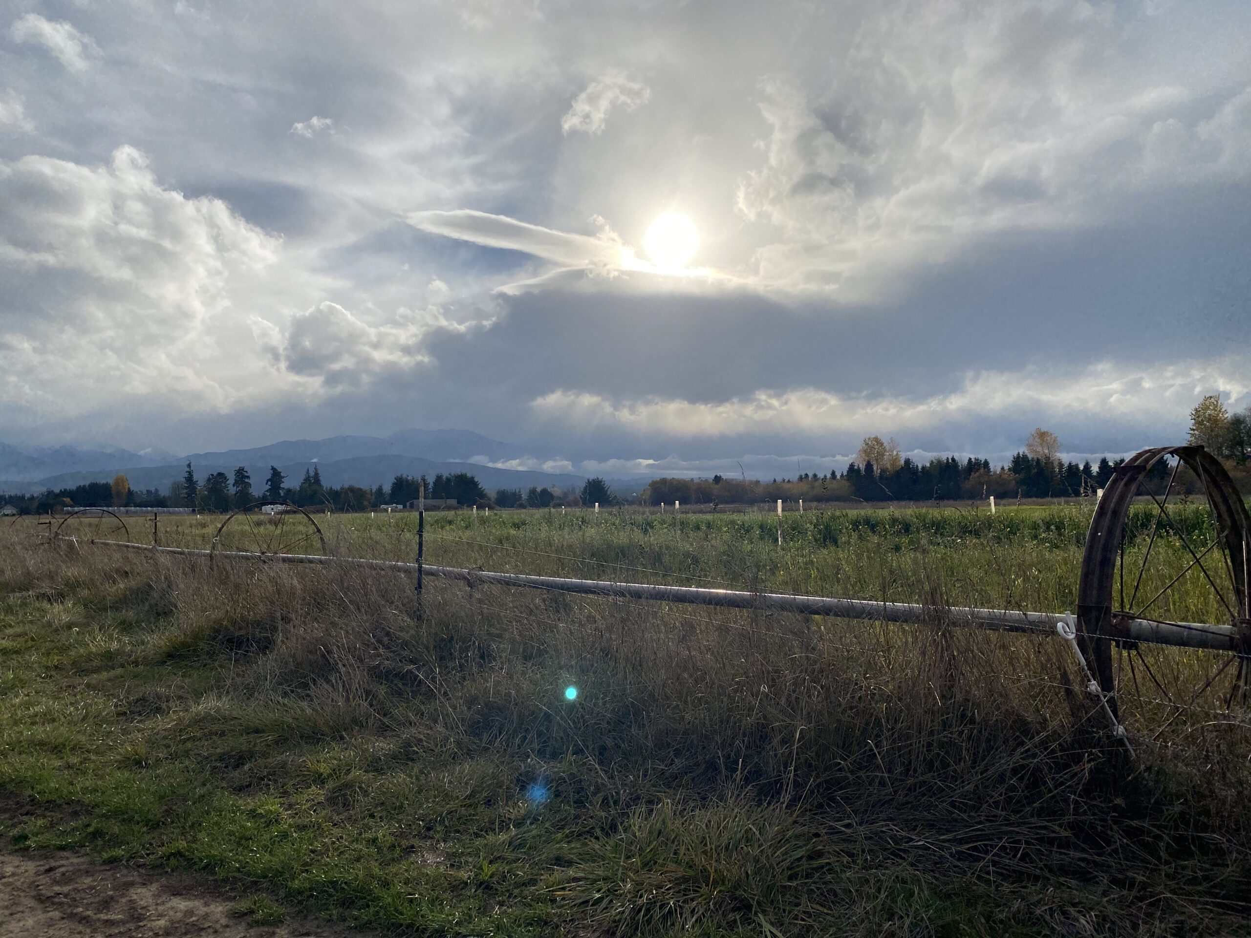 Photo of farmland with irrigation