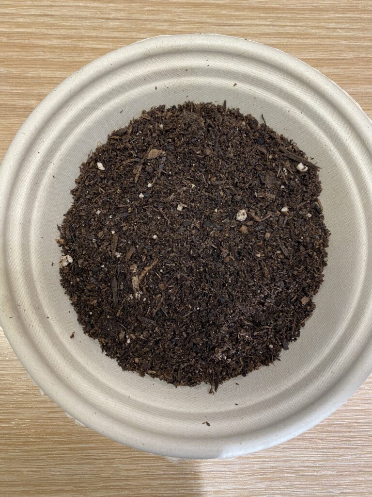 Fine-textured potting soil with some larger woody fines and chunks of perlite