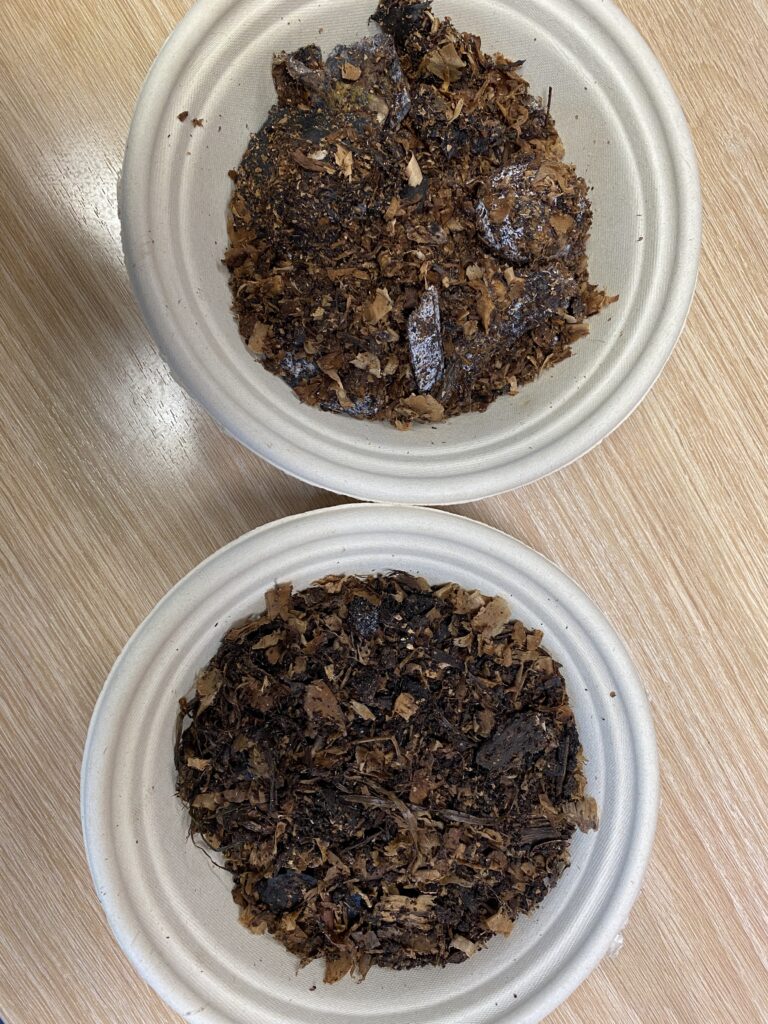 Two bowls of food waste compost; ric red color, one on top has larger chunks of material than one on bottom