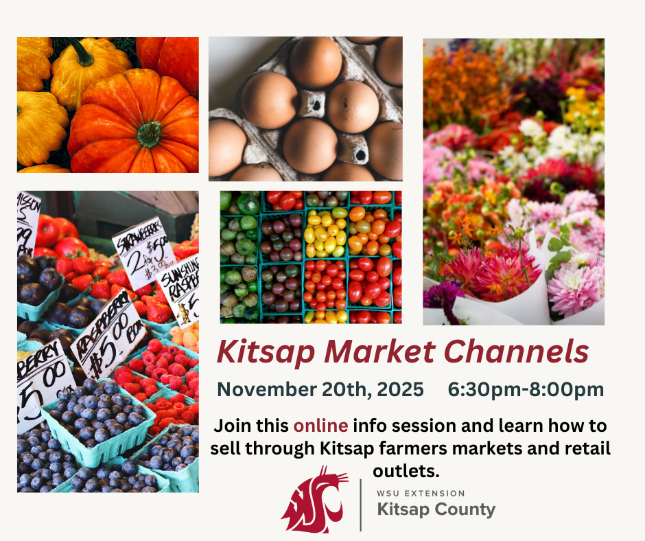 Pictures of products one can buy locally: pumpkins, berries, eggs, cherry tomatoes and bouquets of flowers