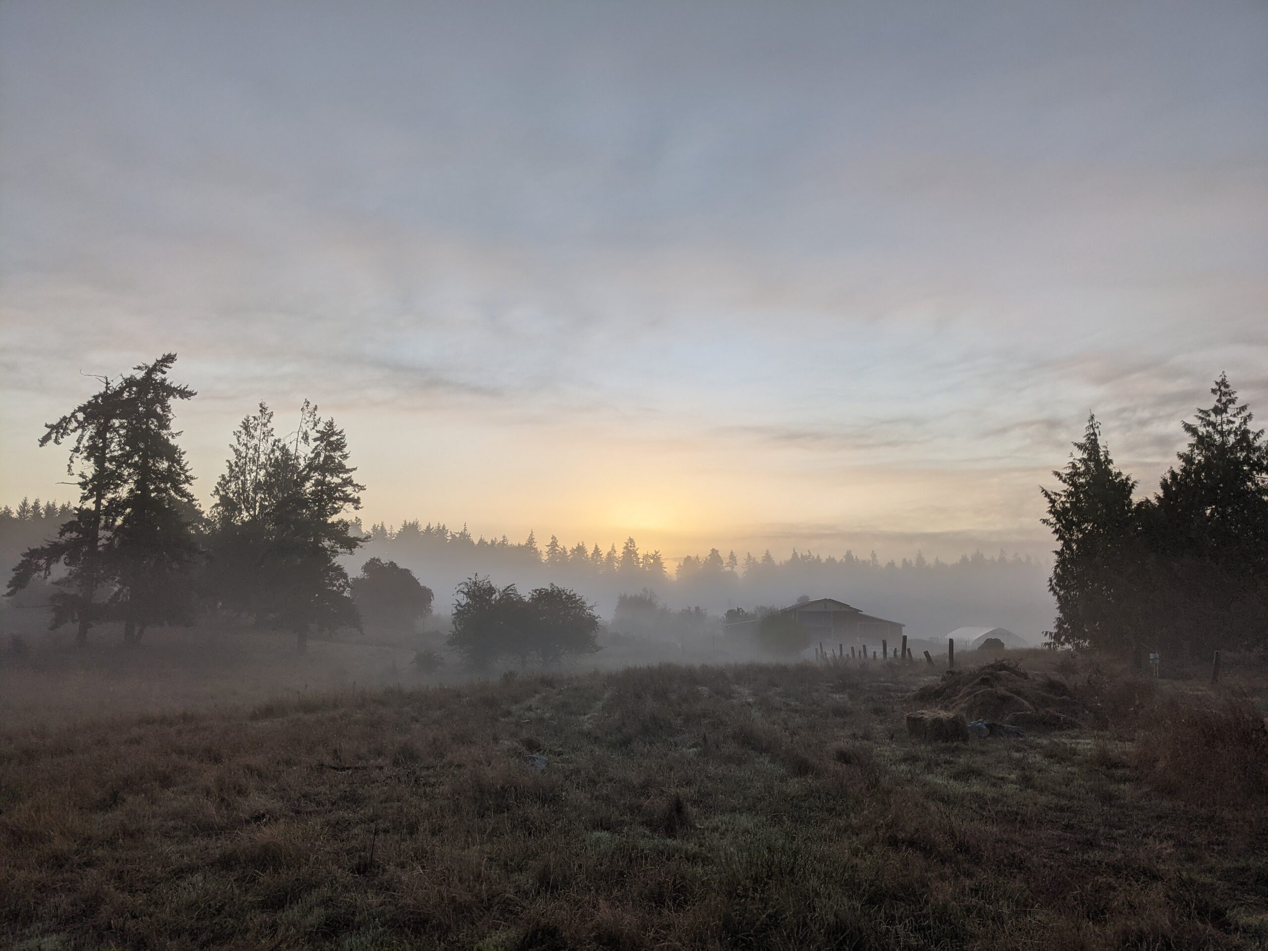 Photo of landscape on a farm with misty sunrise.