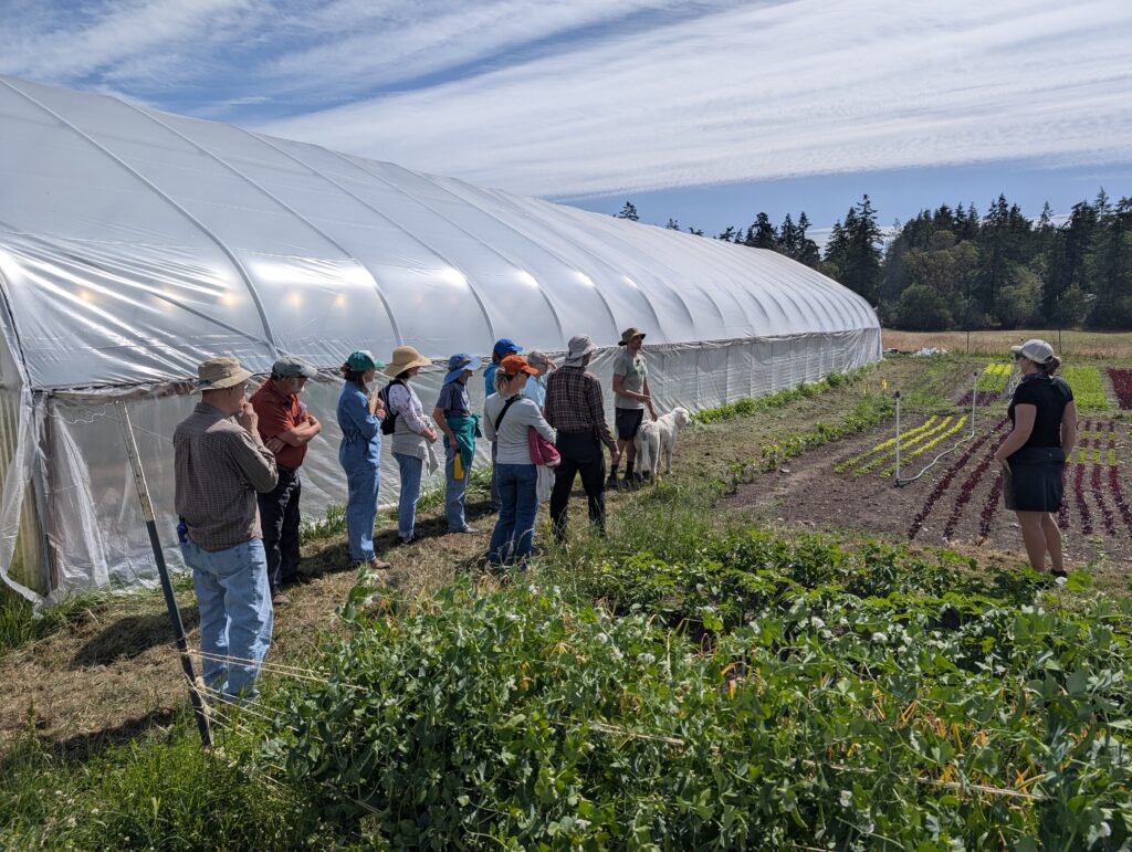 Class participants look at a field of vegetables