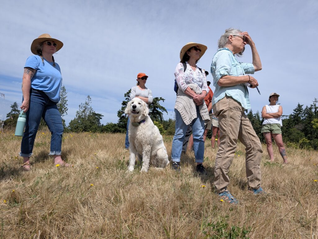 Class participants stand in a field while Stella, a large white dog, looks at the camera