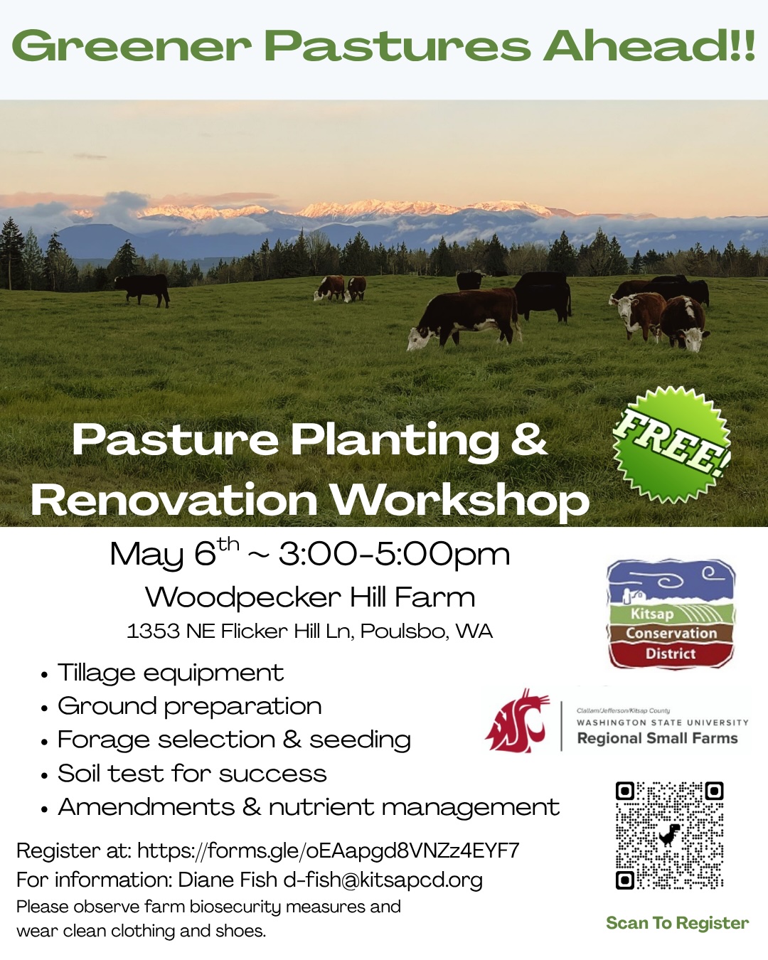 Cows graze in pasture, with snow-capped Olympic mountains in the distance. Information provided on graphic shared below.