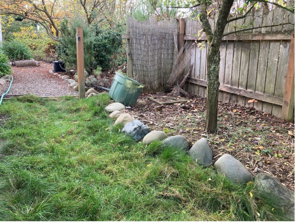 Picture of a lawn, with a border of large river boulders, patch of mulch with a tree, a fence, a bin of yardwaste in the middle distance, and a mulch pathway in the background meandering through a leafy garden.