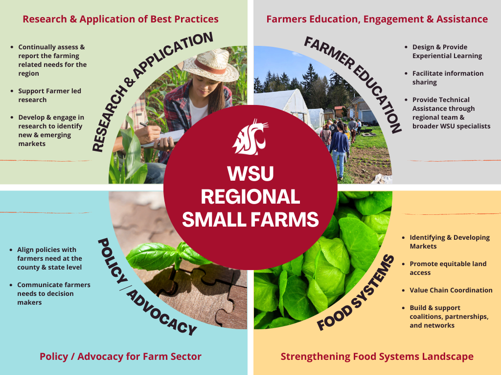 WSU Regional Small Farms Pillar Graphic