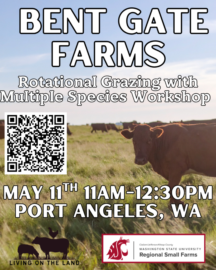 Multiple cows stand in green pasture with blue partly cloudy skies above