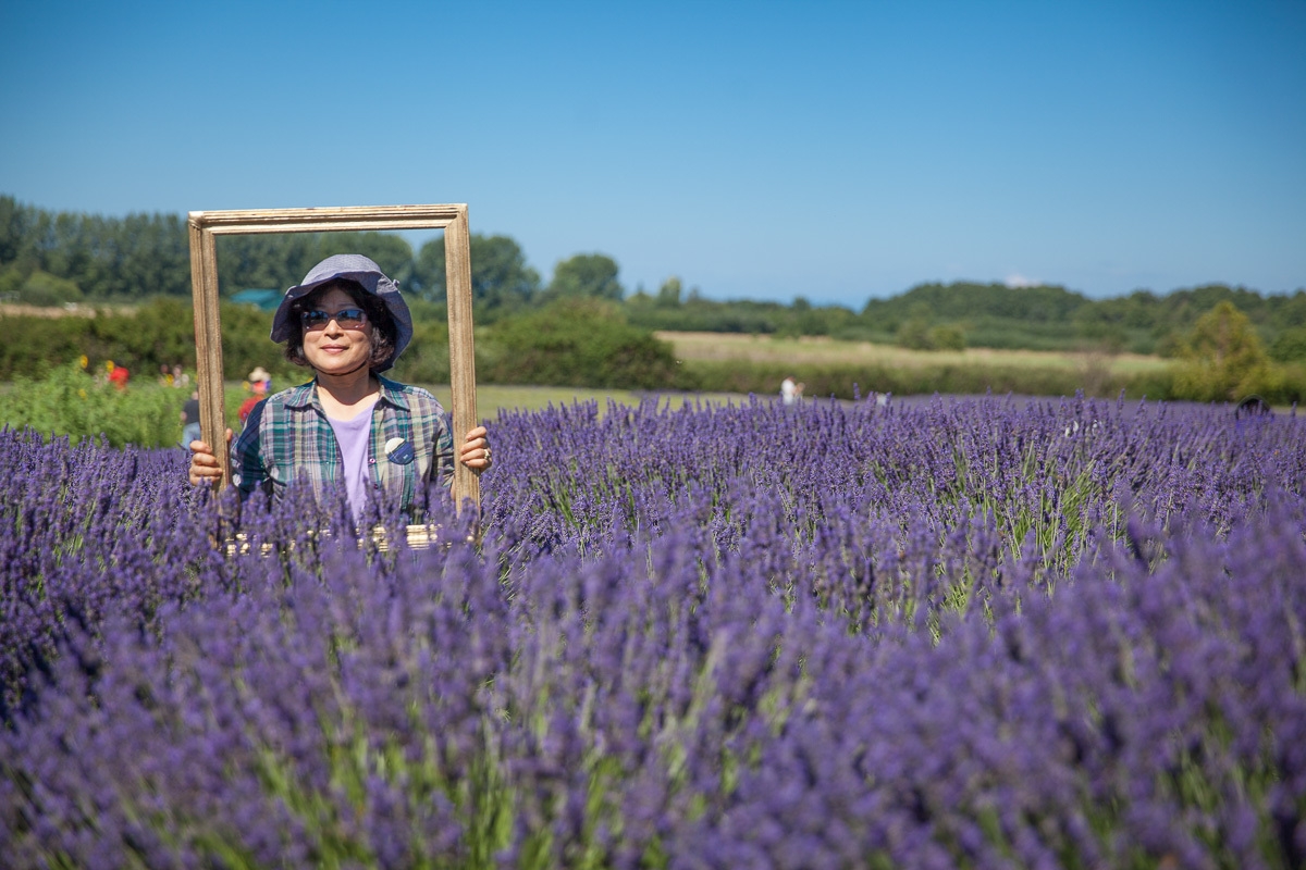woman standing in a lavender field holding a picture frame