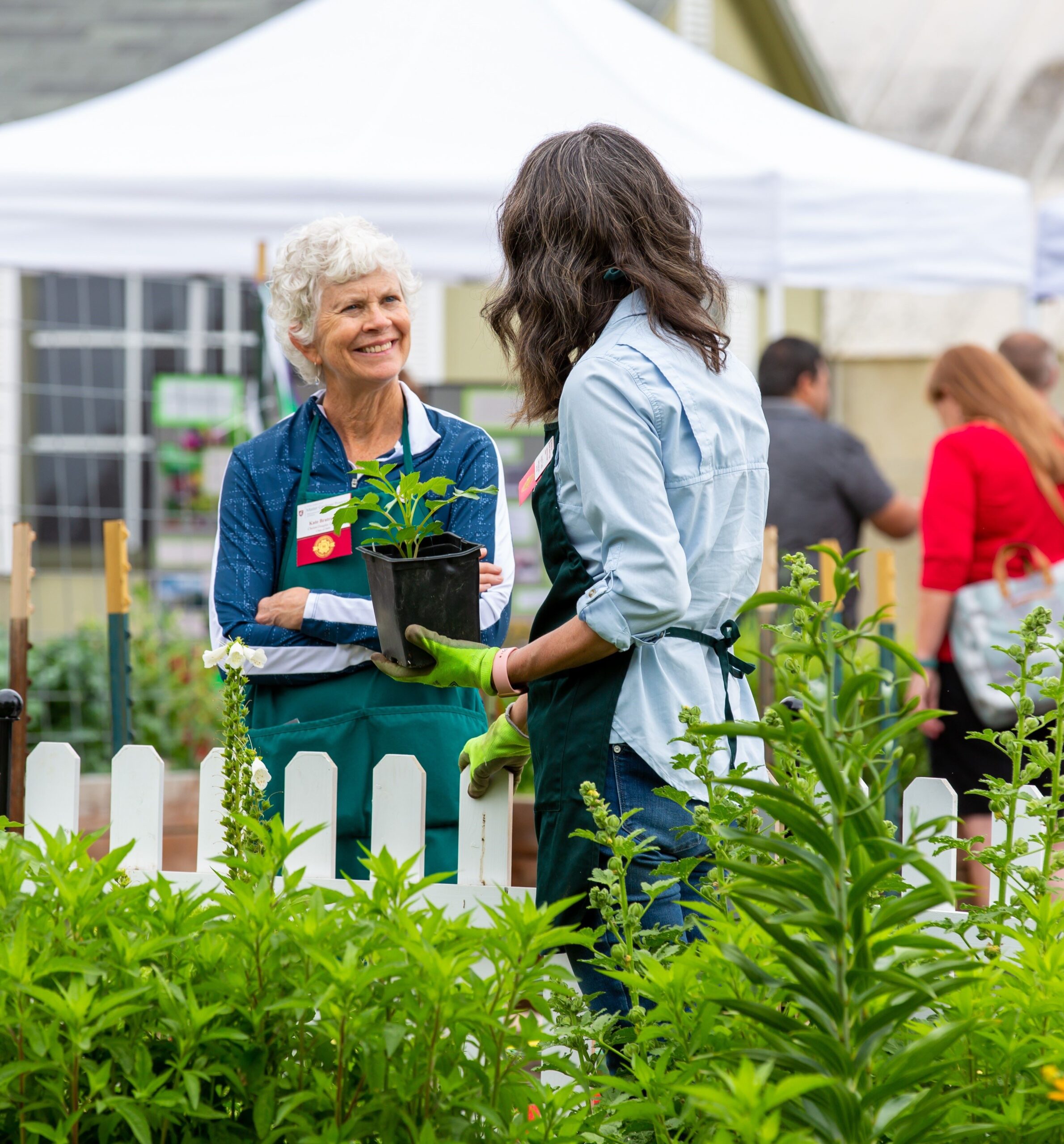 Two master gardeners talking about plants.