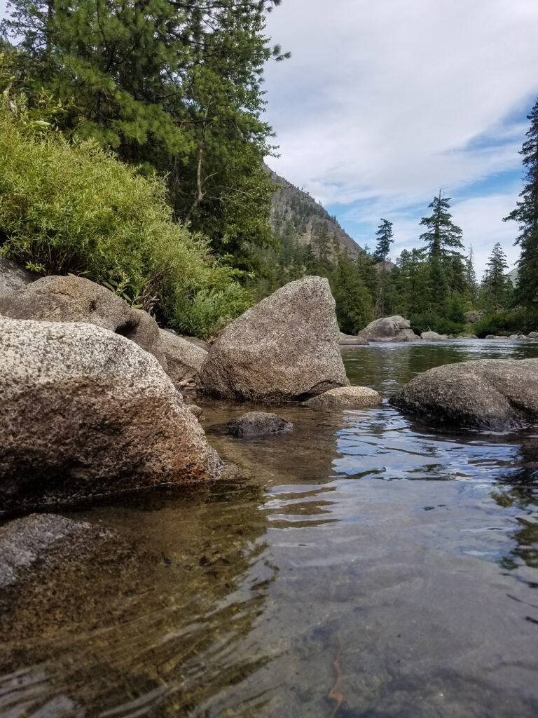Wetlands with mountain in background