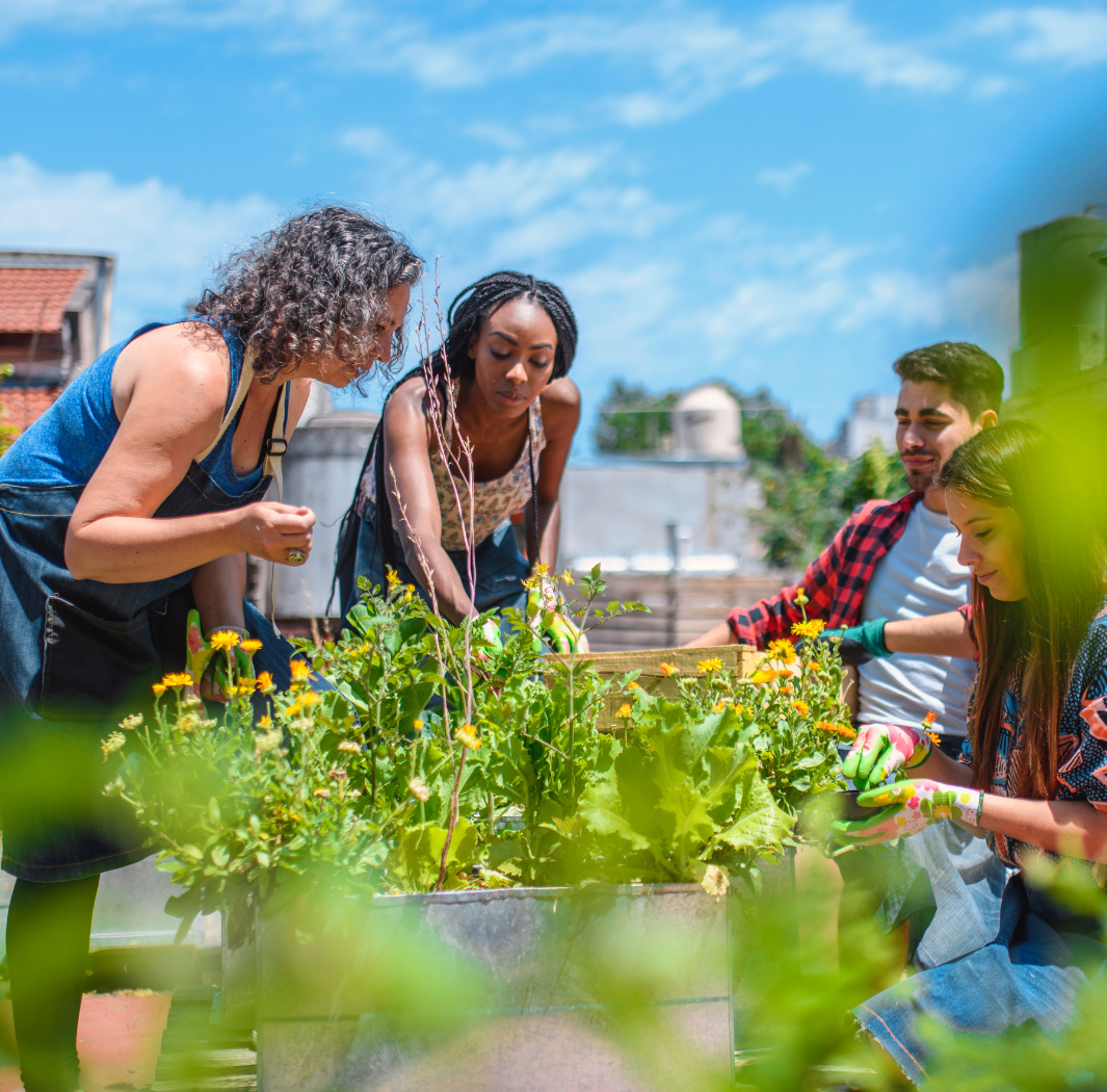 Sharon Collman is showing a child a caterpillar.