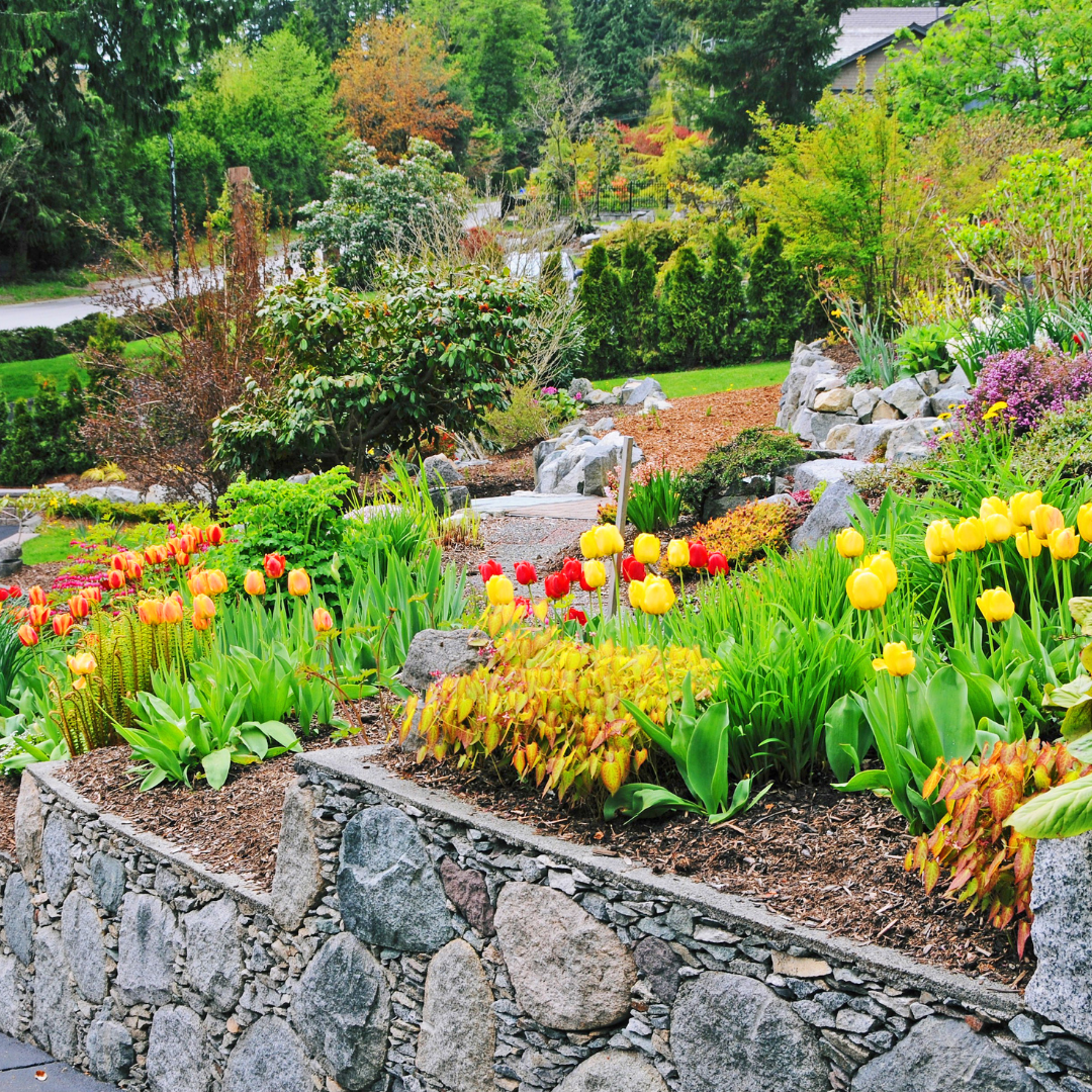 Woman working in garden.