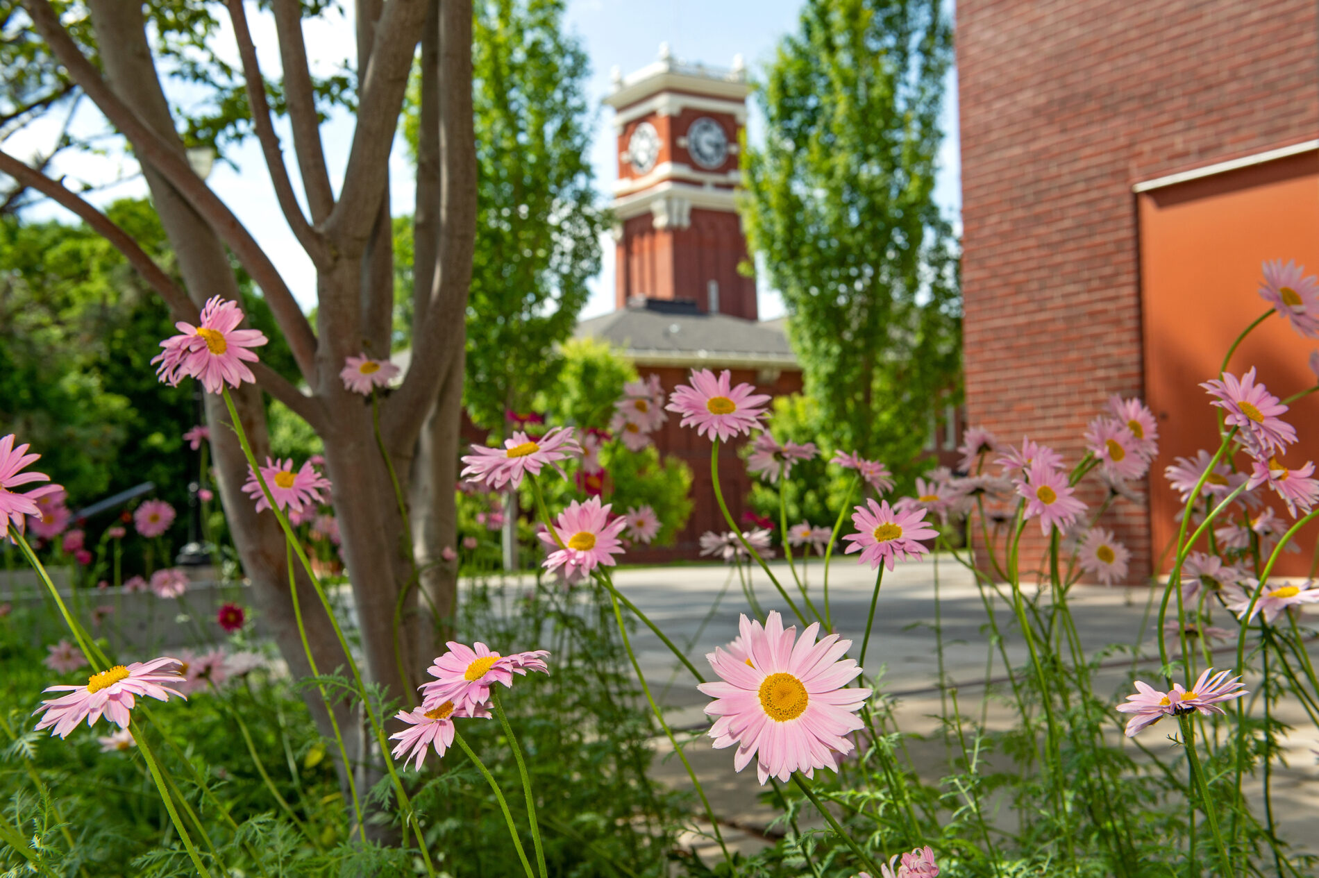WSU campus