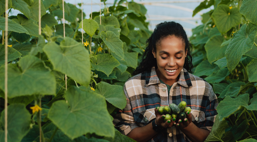 Woman with harvest of cucumbers