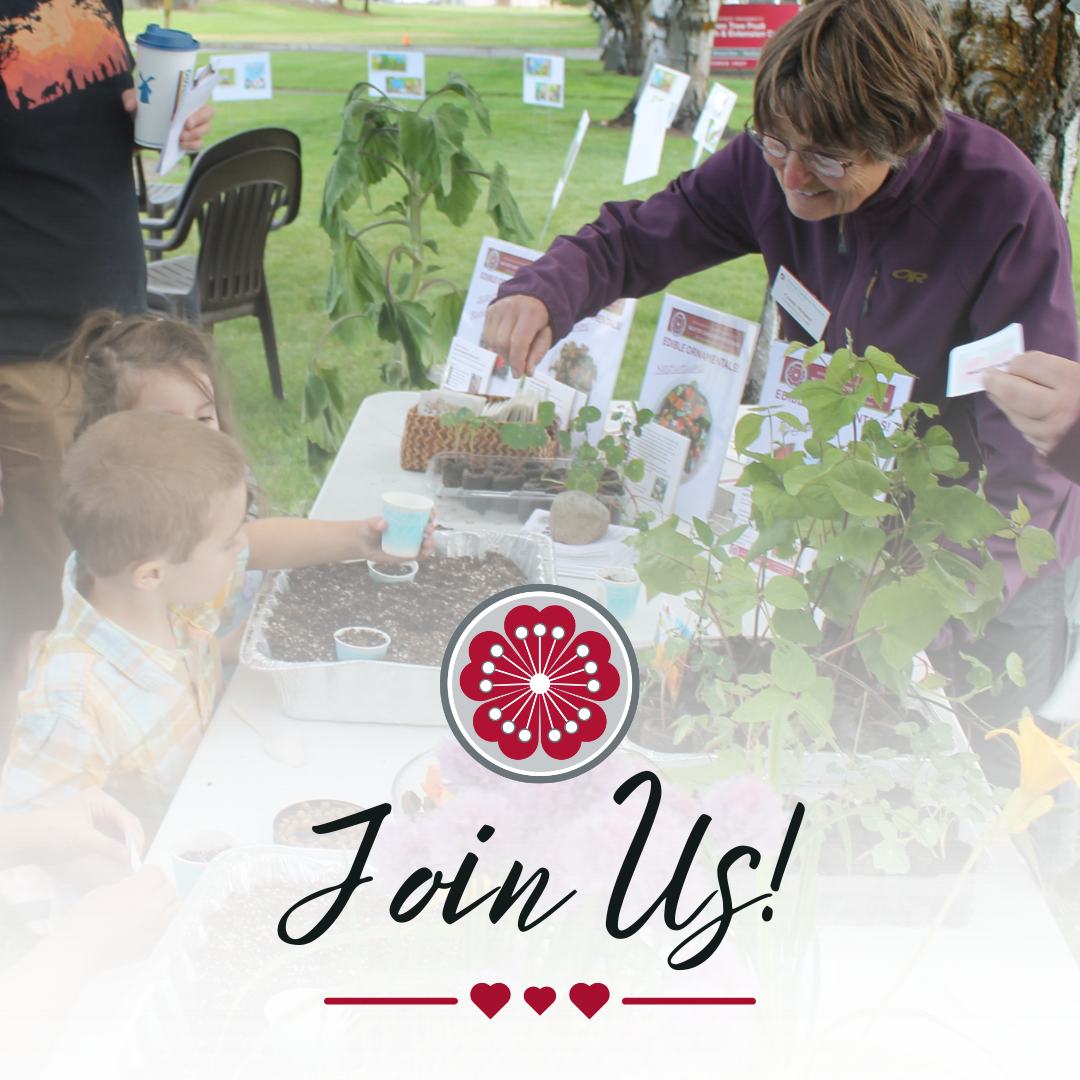 Woman working in garden.