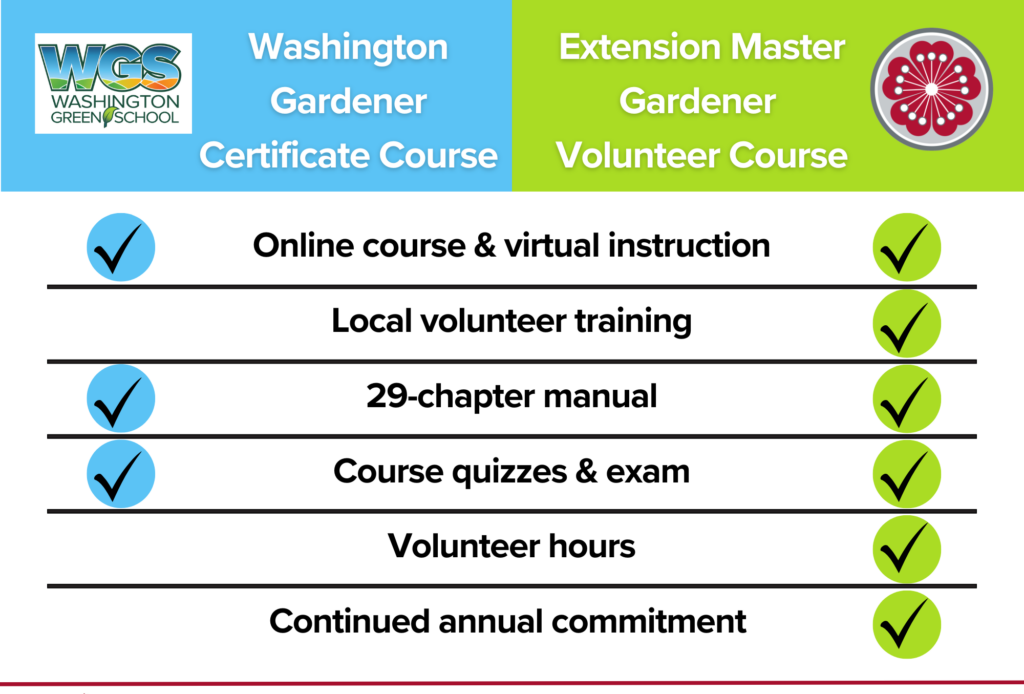 Chart showing the benefits comparison of the two courses