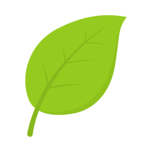 Green leaf