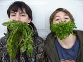 Edible Weeds Photo by Jason Miller