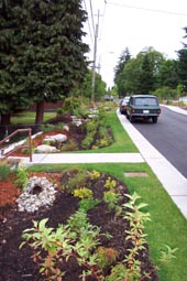 Rain Garden Photo by Seattle Public Utilities