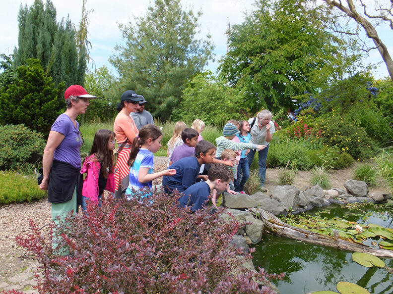 Youth exploring garden
