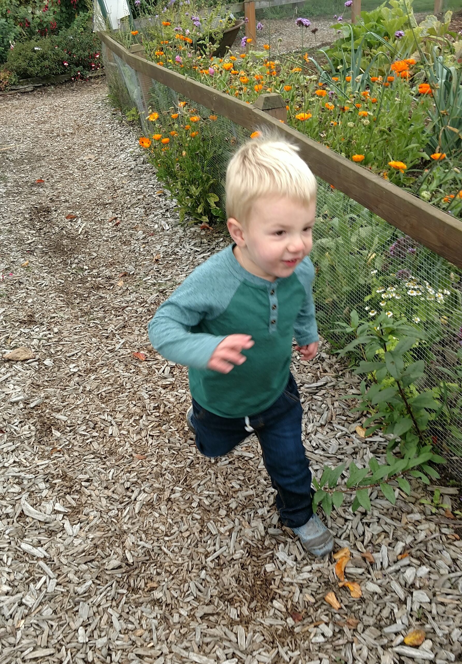 toddler running in the garden