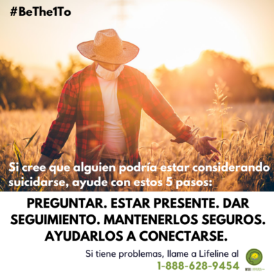 Farmer walking in sunset brushing hands against seed heads