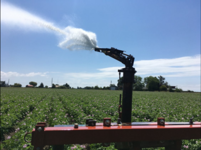 An irrigation gun applying water to a potato field, promoting healthy plant growth and efficient irrigation practices.