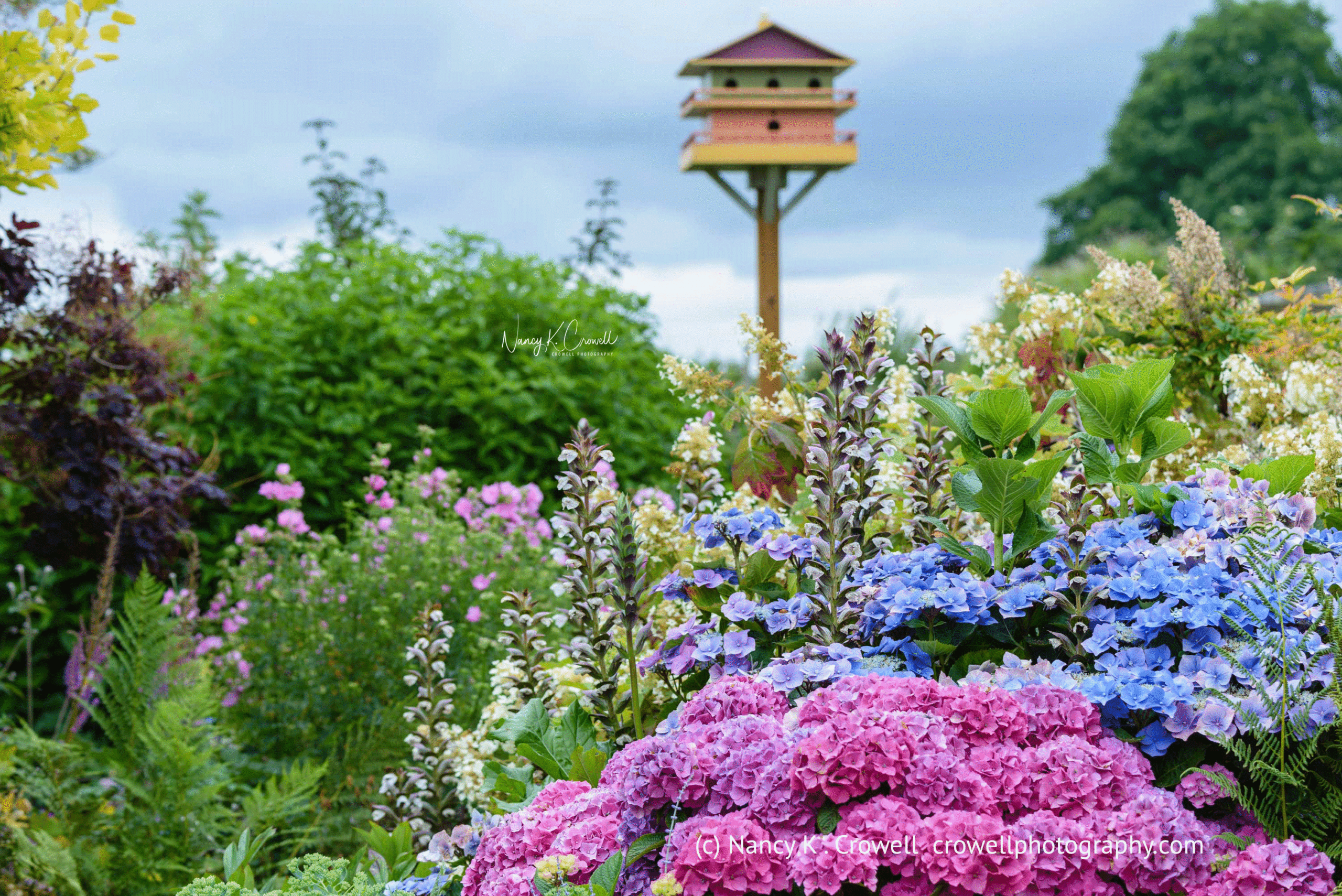 Skagit Discovery garden photographed by NK Crowell