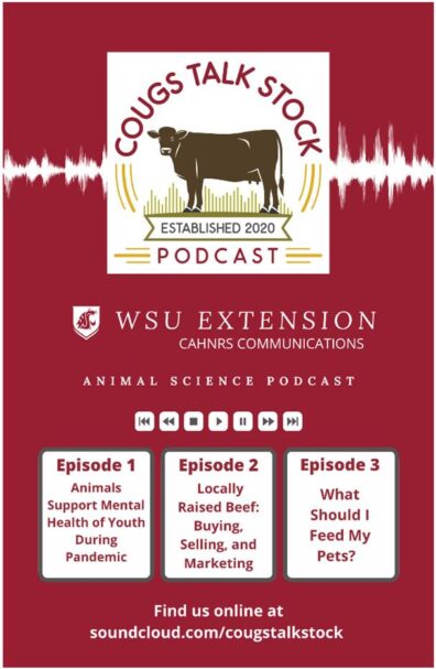 Logo of Coug's Talk Stock podcast featuring a microphone and Animal Science Podcast graphics, representing WSU Extension discussions.