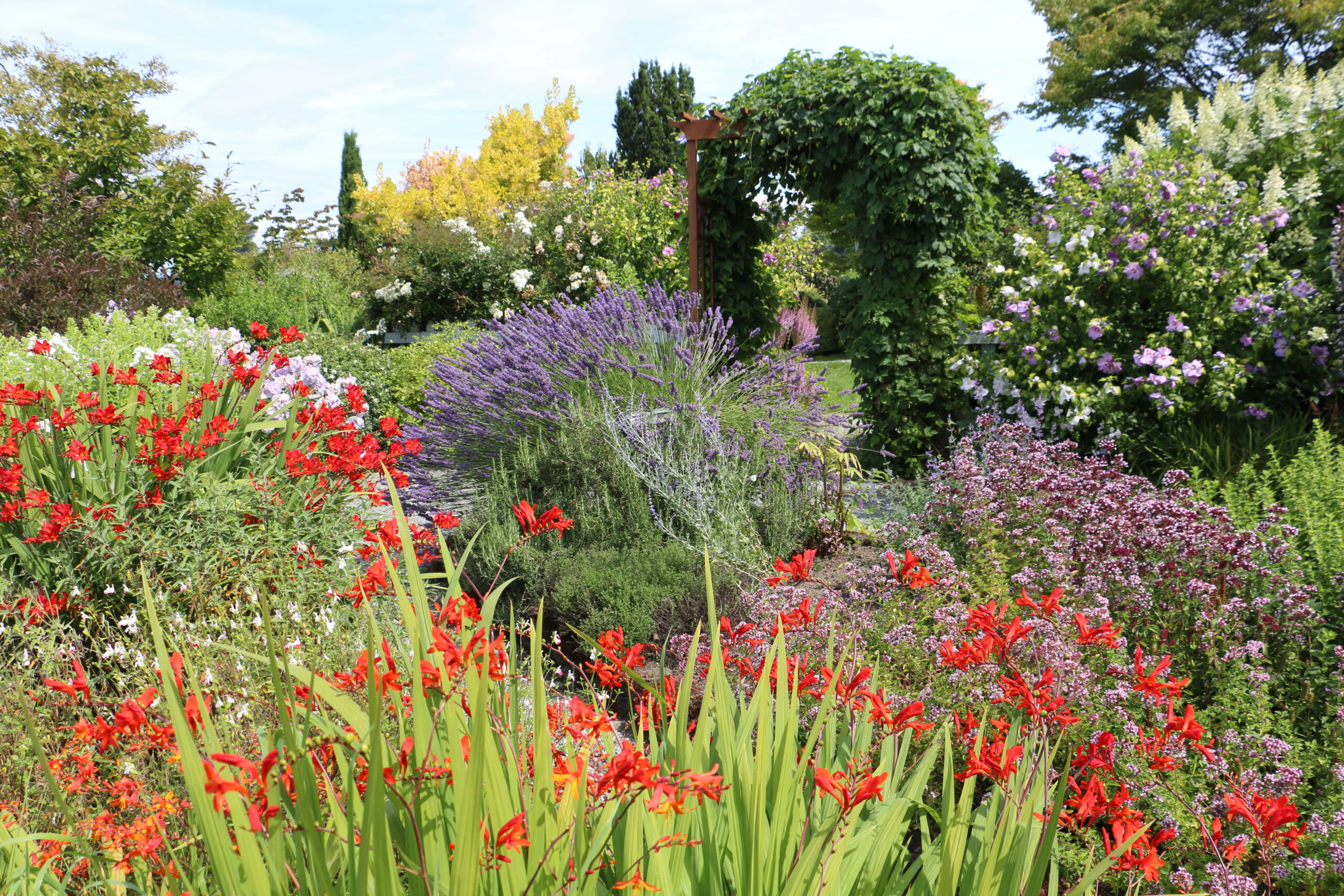 Master Gardeners Display Garden in full bloom