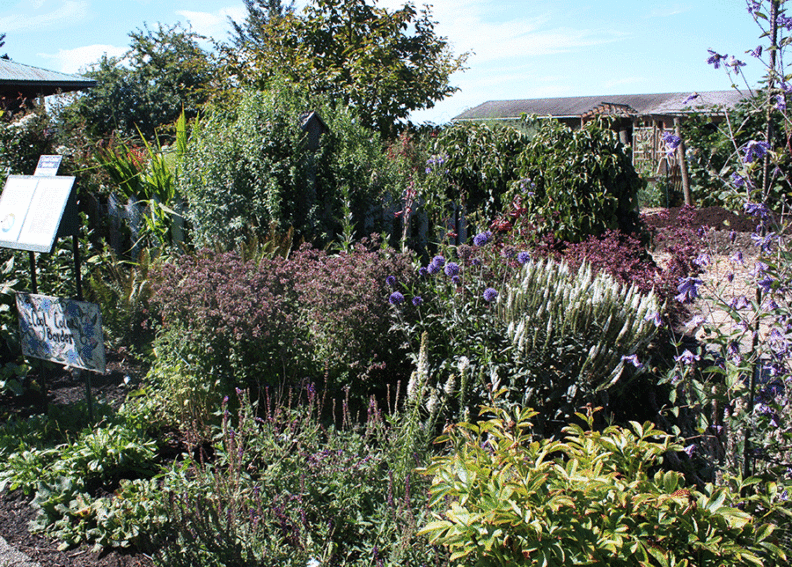 A lush garden showcasing diverse plants alongside a sign that provides information about the garden.