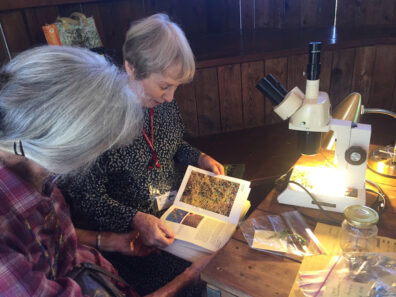 Ask a master gardener in session