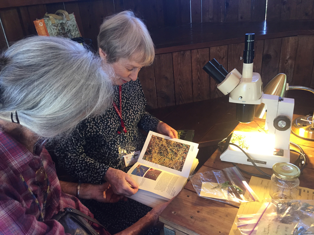 Ask a master gardener in session