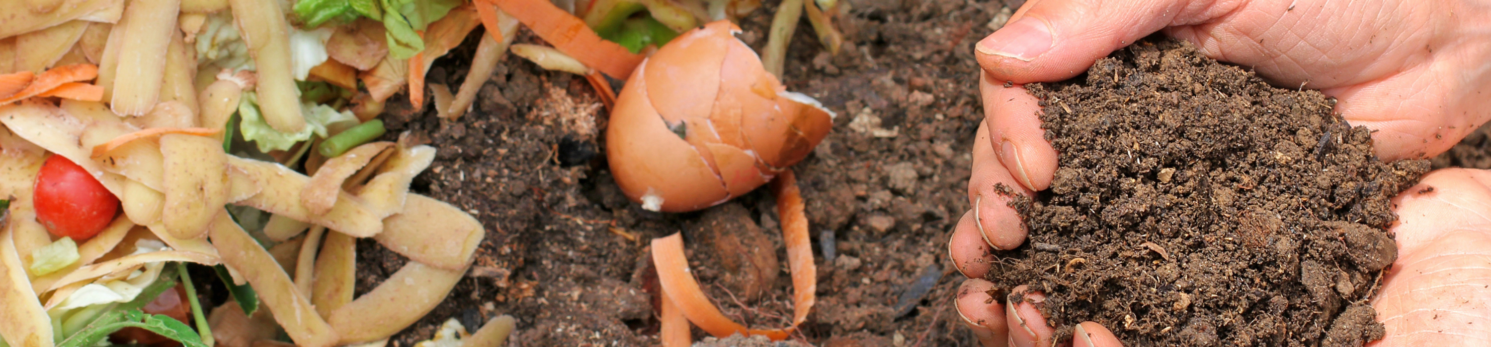Hands holding dirt, compost in the background