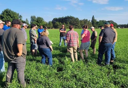 Farmers learning in the field