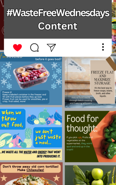 Variety of Waste Free Wednesdays Content